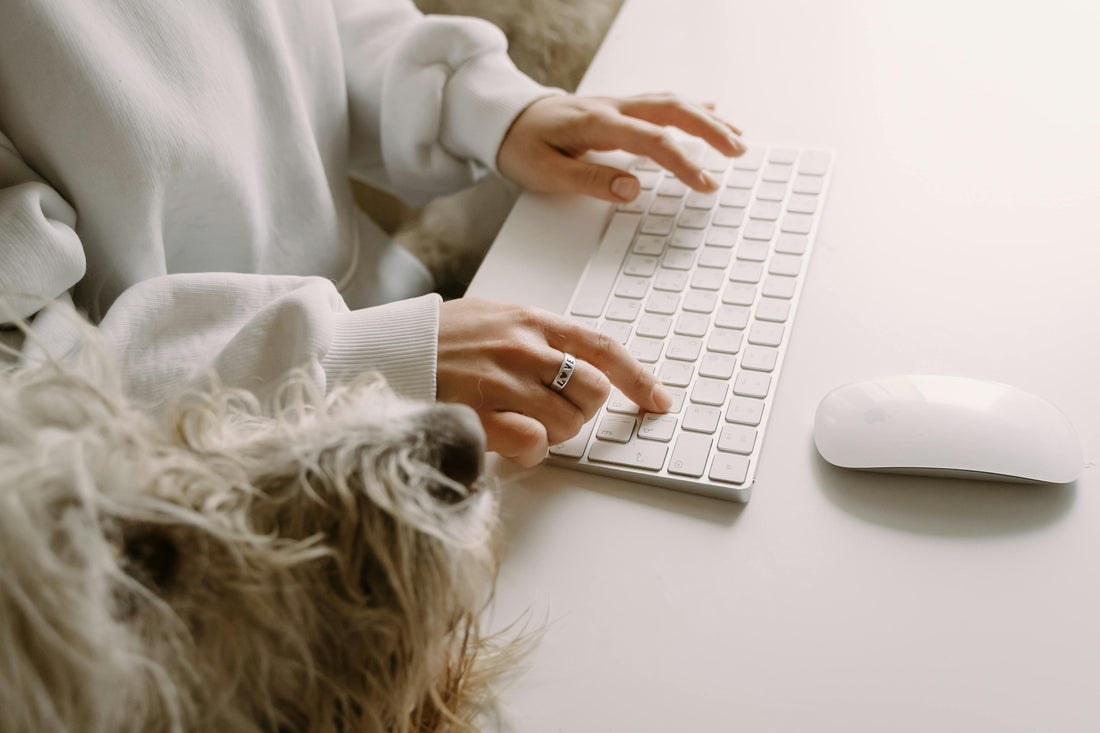 Hunde und Vollzeit-Arbeit: Ein Balance-Akt
