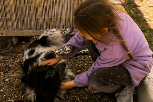 Hunde und Kinder: Eine unvergessliche Freundschaft