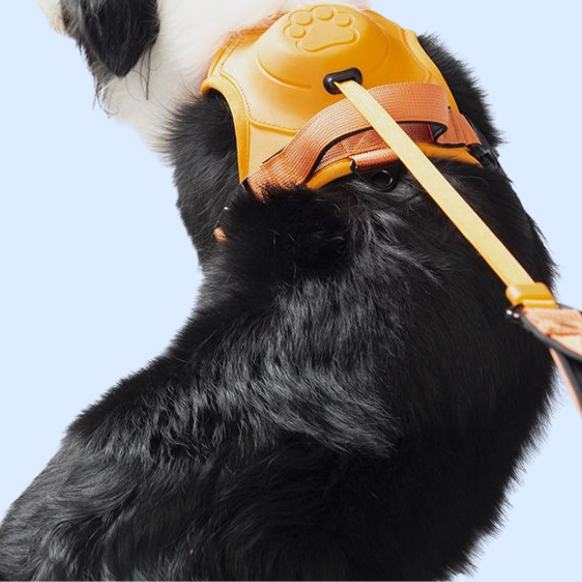 DuoDog 2-in-1 Hundegeschirr