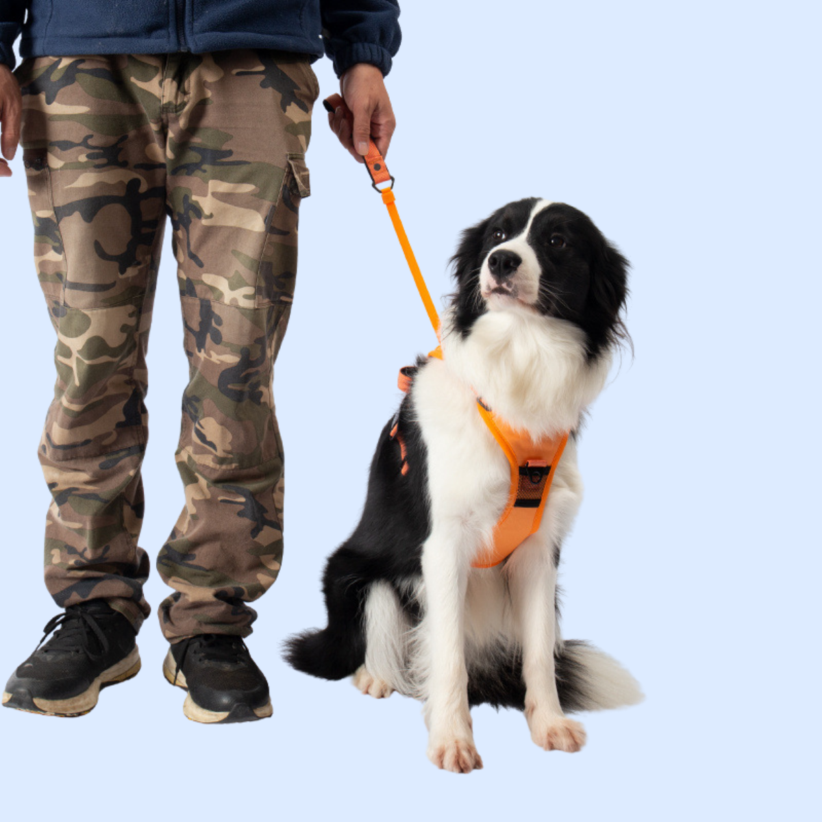 DuoDog 2-in-1 Hundegeschirr