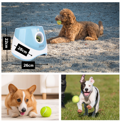 BallBuddy