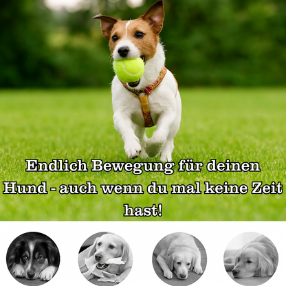BallBuddy